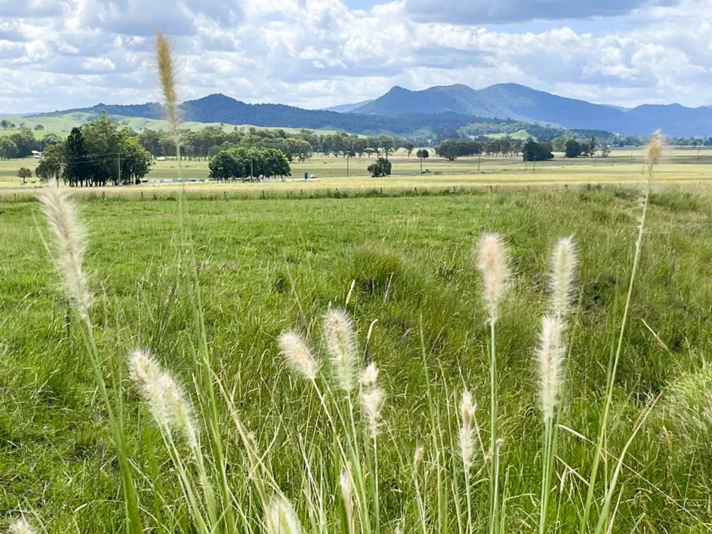 Rural views from Mayfield Estate in Kyogle, NSW